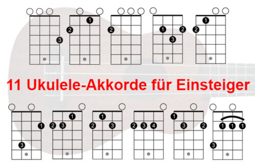 die wichtigsten Ukulele Akkorde