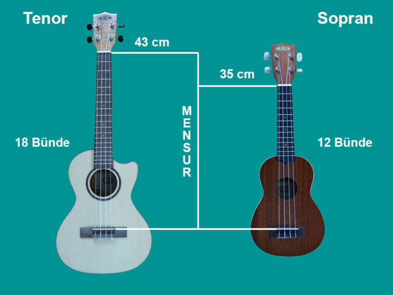 Alles über Ukulele Größen & Arten Ukulele lernen