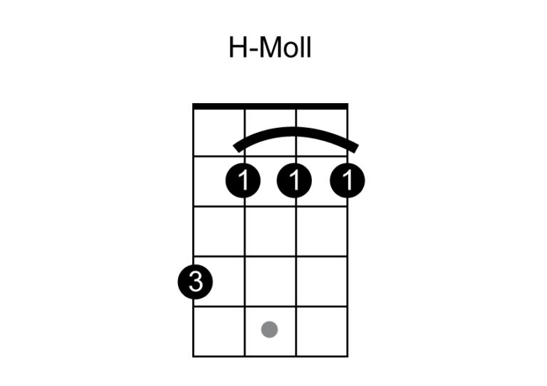 Die 11 wichtigsten Ukulele Akkorde Ukulele lernen