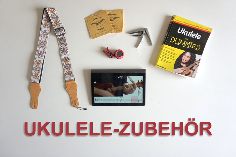 Ukulele Zubehör für Anfänger