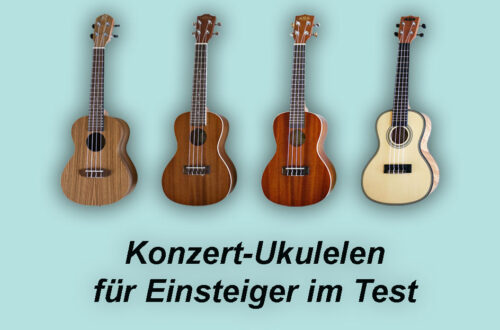 Konzert Ukulele kaufen