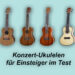 Konzert Ukulele kaufen