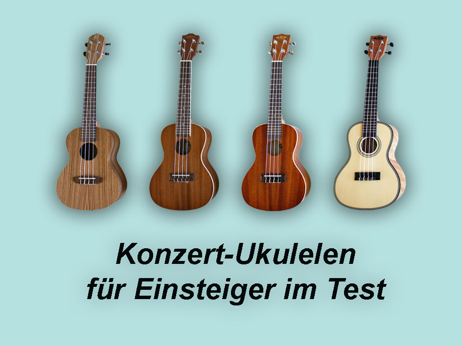 Konzert Ukulele kaufen