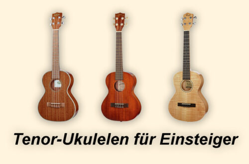 Tenor Ukulele für Einsteiger Test