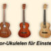 Tenor Ukulele für Einsteiger Test