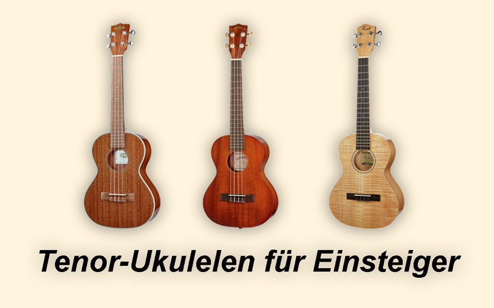 Tenor Ukulele für Einsteiger Test